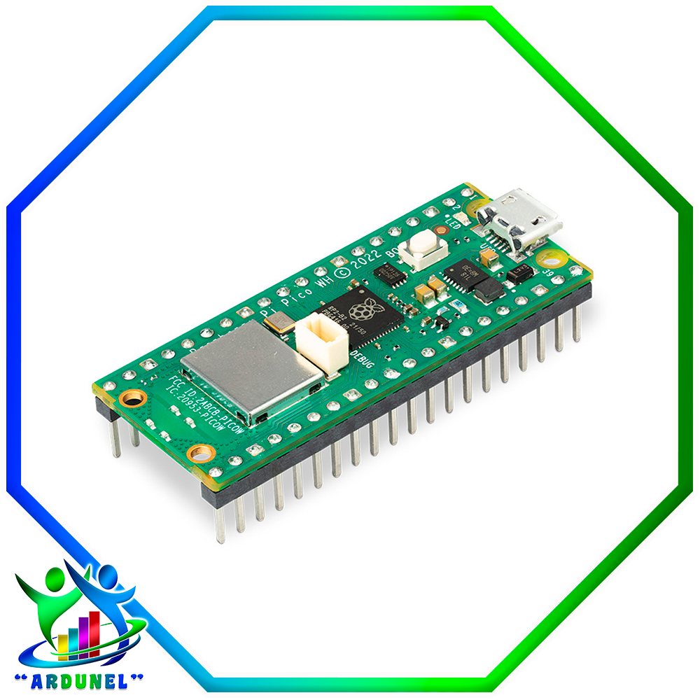 RASPBERRY PI PICO W
